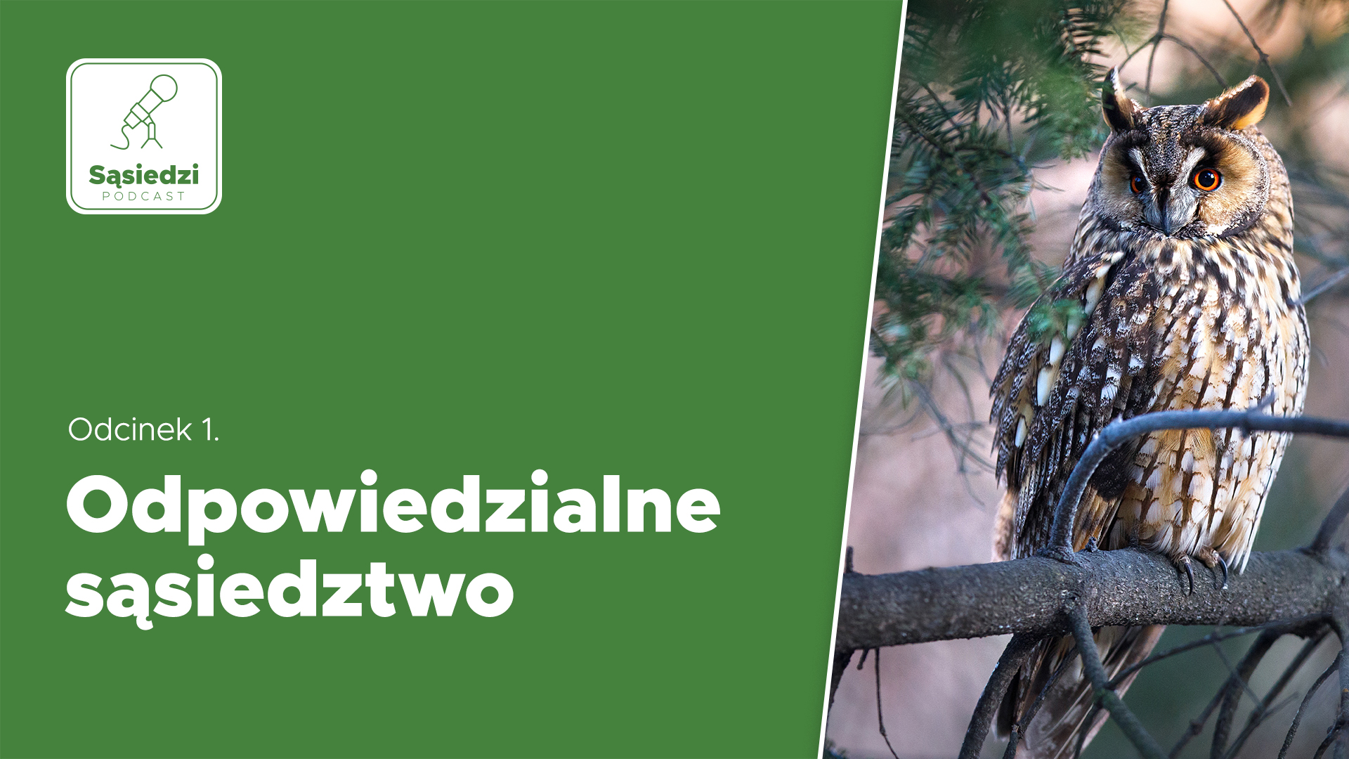 obraz - podcast_odcinek1_sowa