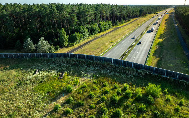 obraz - przejscie dla duzych zwierzat Autostrada Wielkopolska
