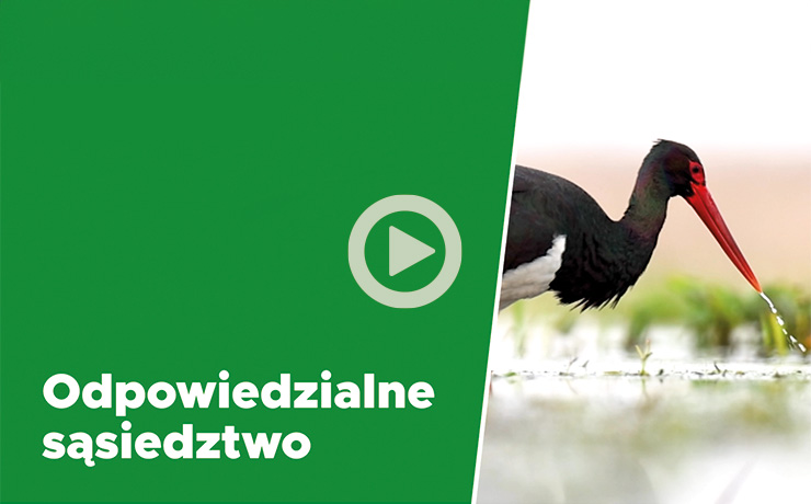 obraz - www_740x460